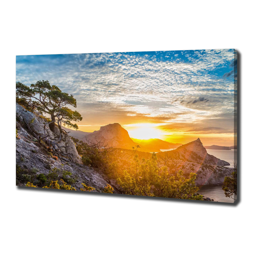 Canvas wall art Sunset