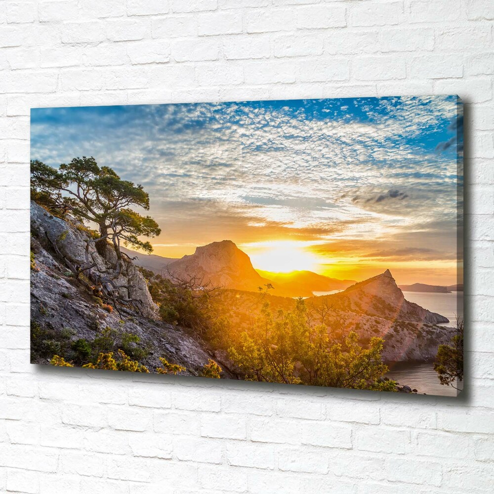 Canvas wall art Sunset