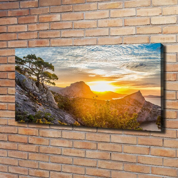 Canvas wall art Sunset