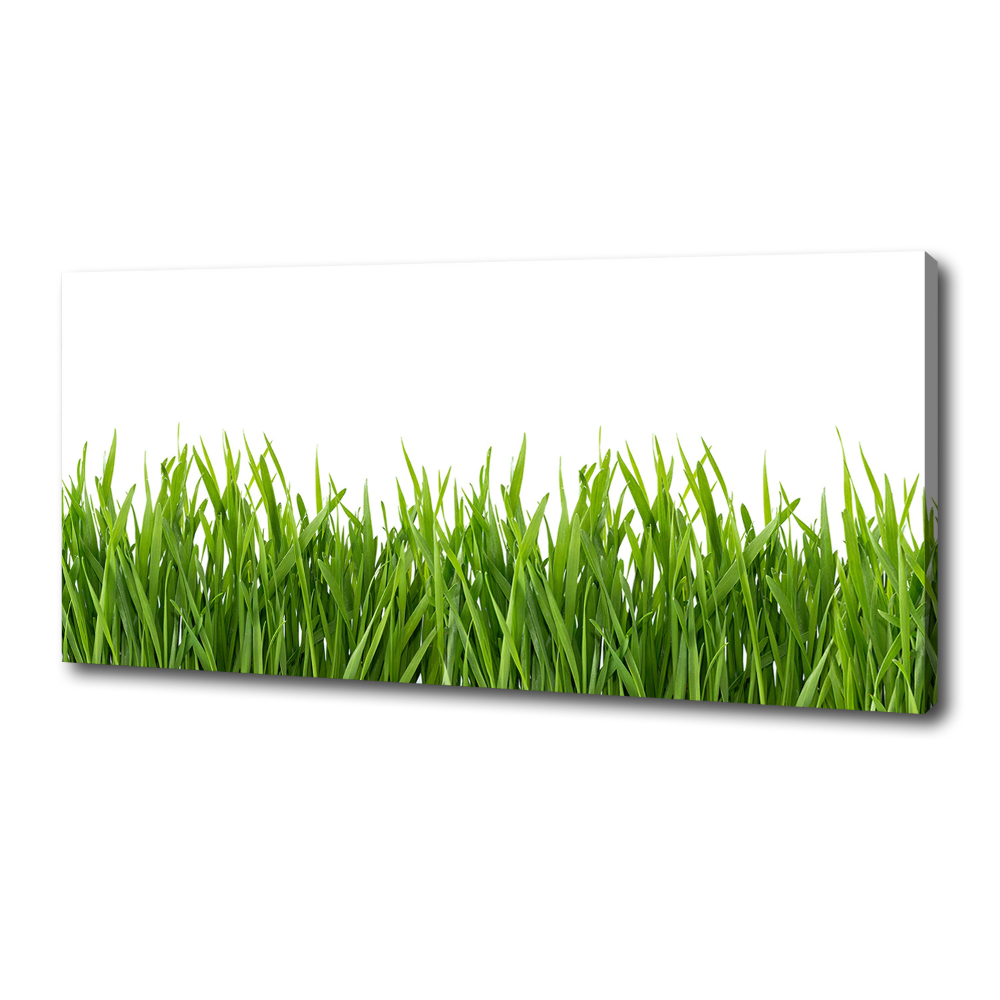 Canvas wall art Grass