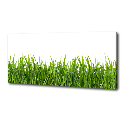 Canvas wall art Grass