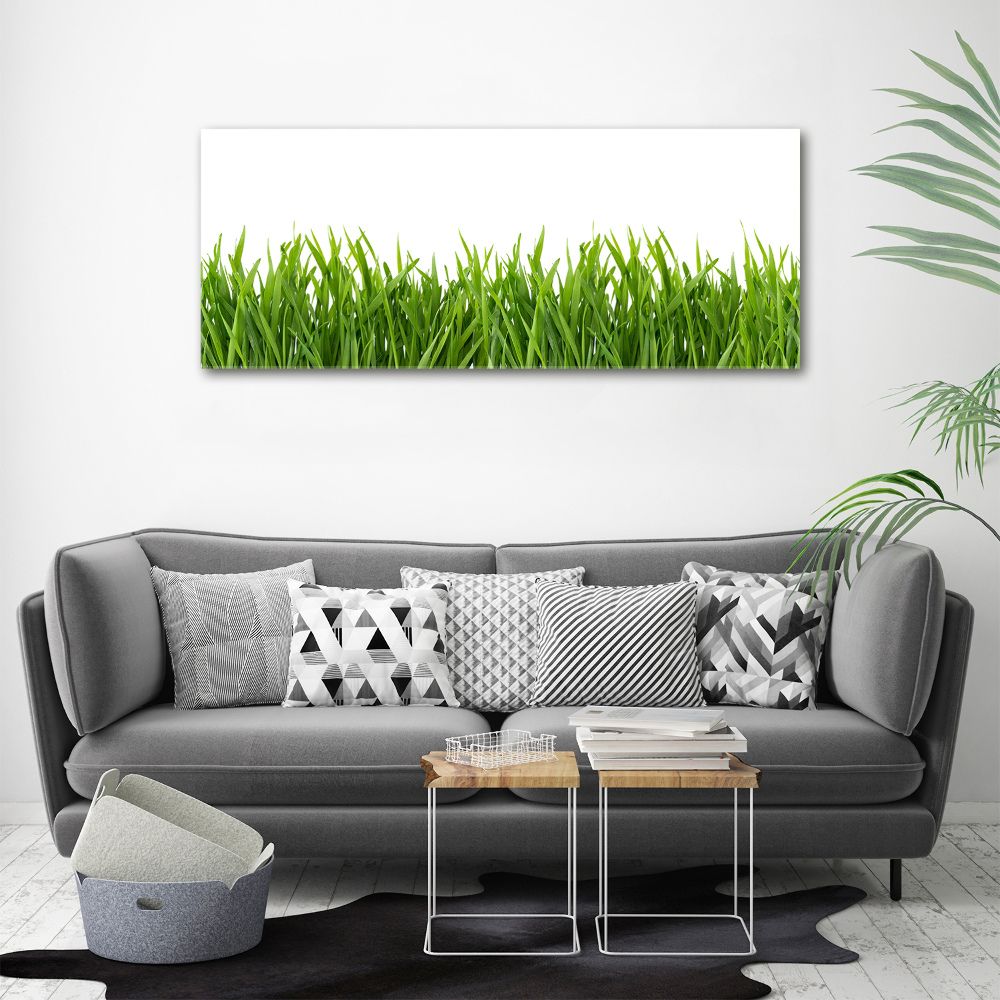 Canvas wall art Grass