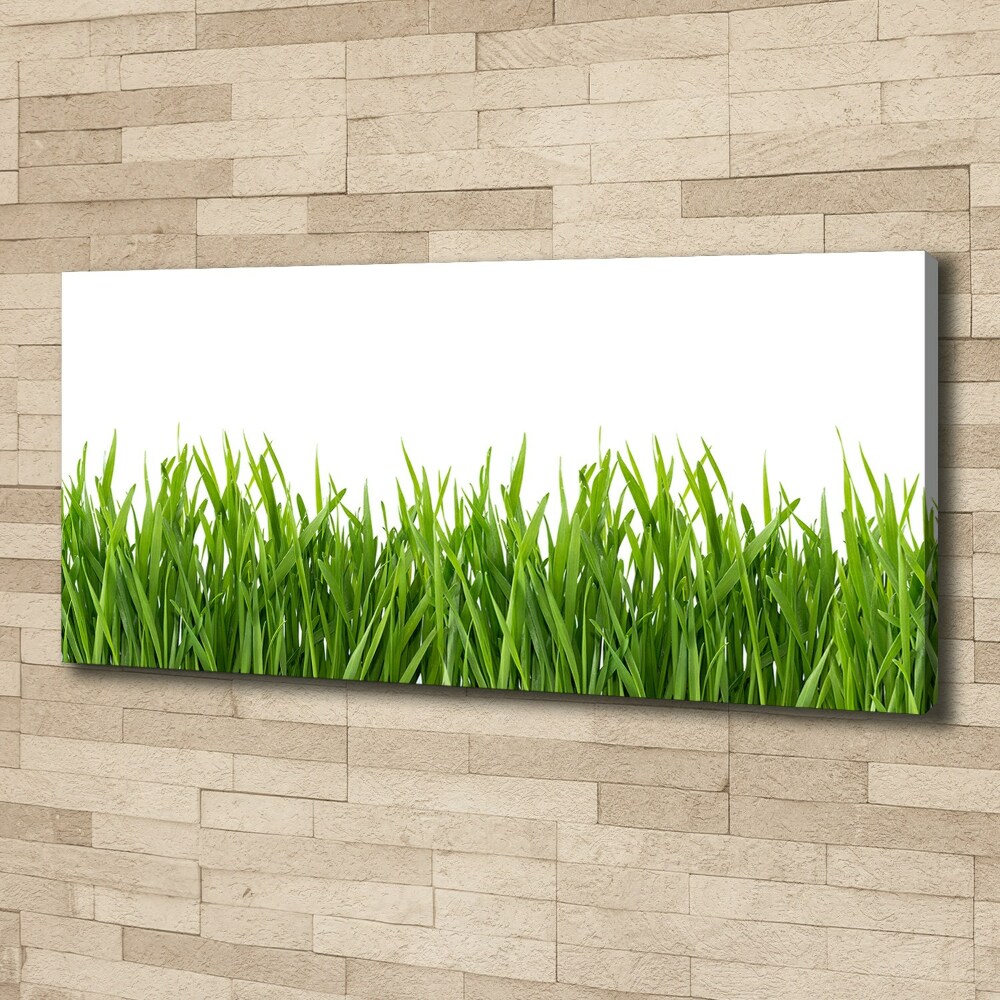 Canvas wall art Grass