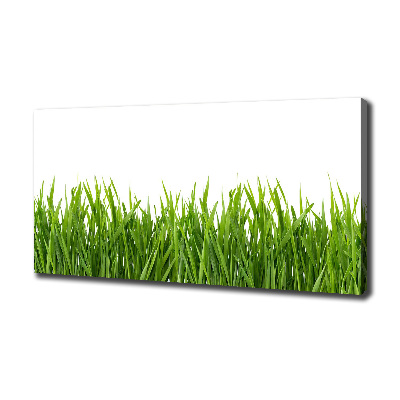 Canvas wall art Grass