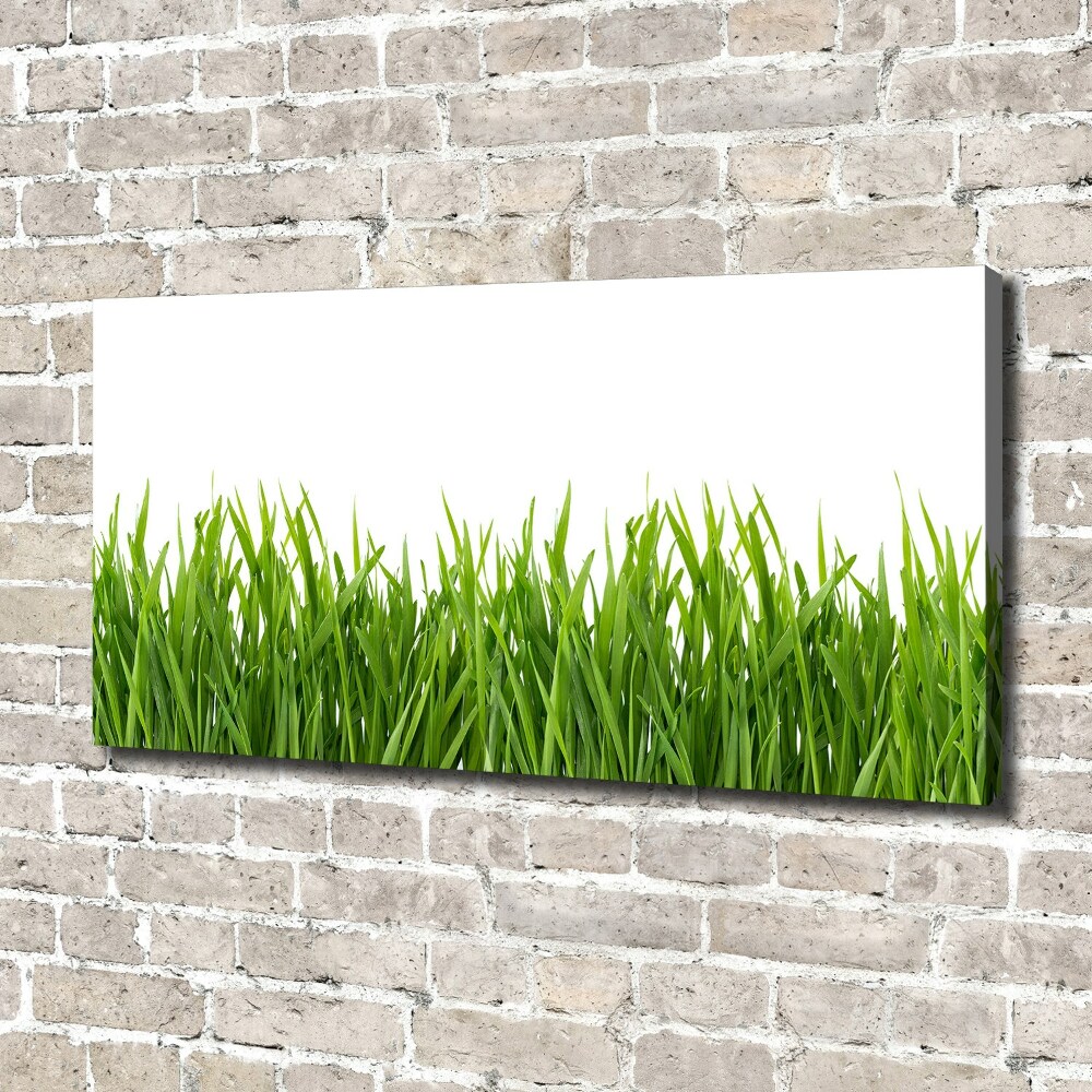 Canvas wall art Grass