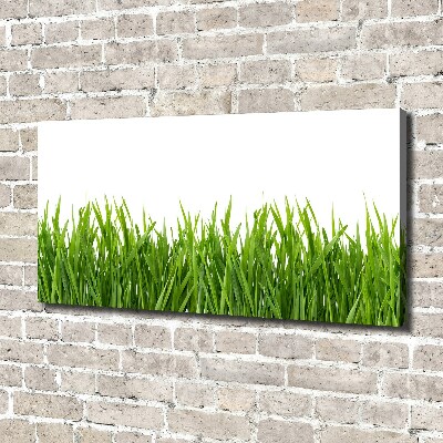 Canvas wall art Grass