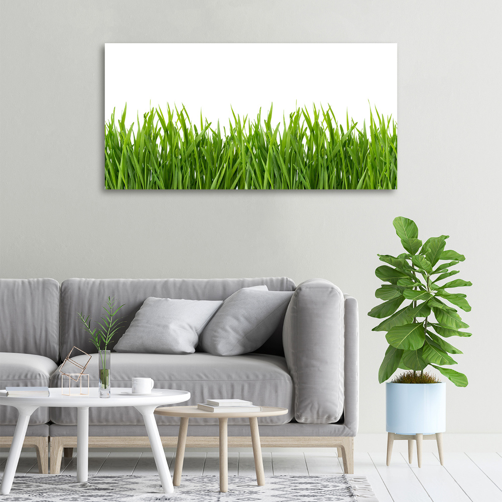 Canvas wall art Grass