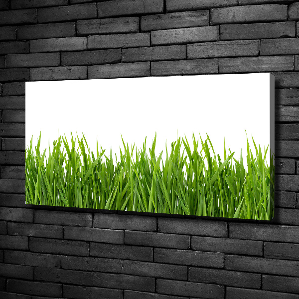 Canvas wall art Grass