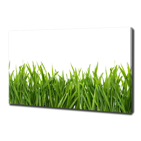 Canvas wall art Grass