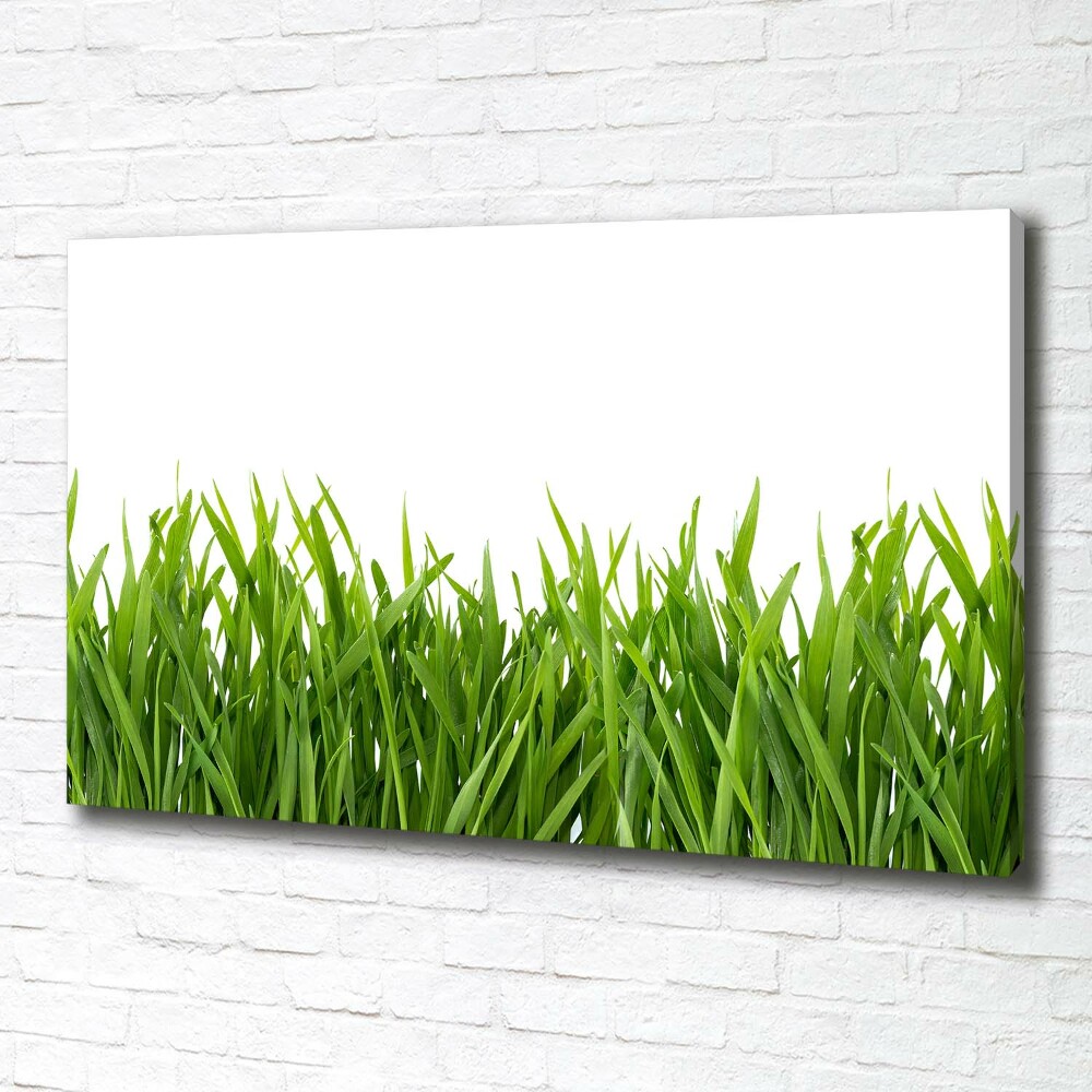 Canvas wall art Grass