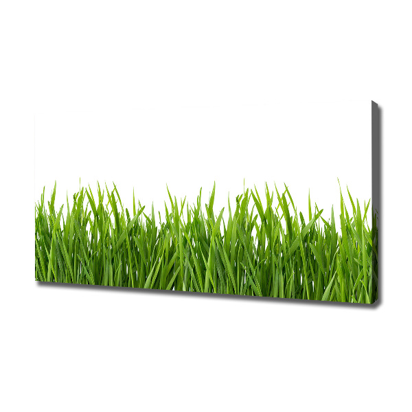 Canvas wall art Grass