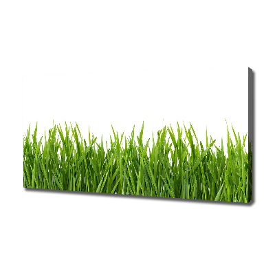 Canvas wall art Grass