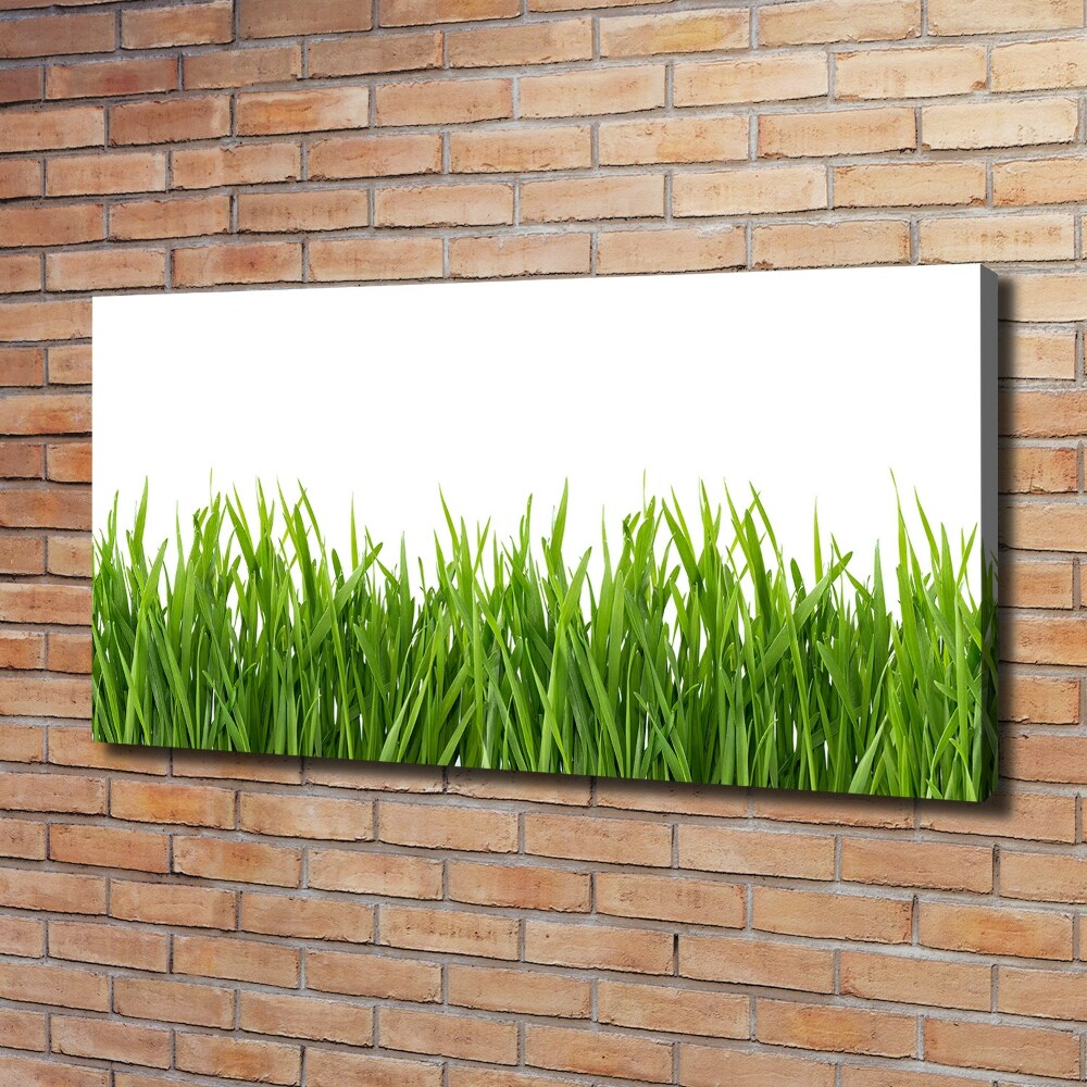 Canvas wall art Grass