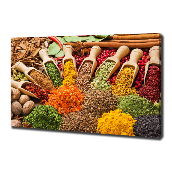 Canvas wall art Colorful spices