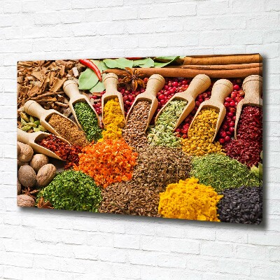 Canvas wall art Colorful spices