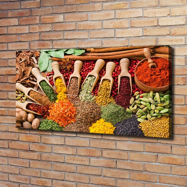 Canvas wall art Colorful spices