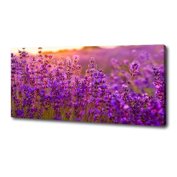 Canvas wall art Lavender field