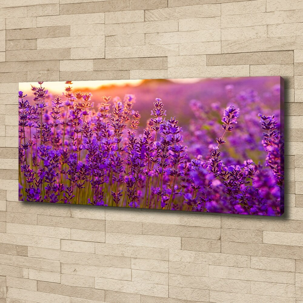 Canvas wall art Lavender field