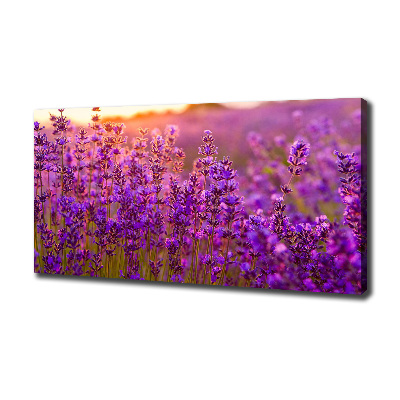 Canvas wall art Lavender field