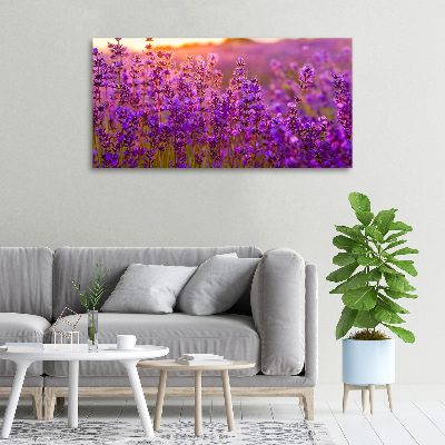 Canvas wall art Lavender field