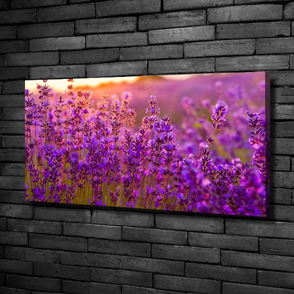 Canvas wall art Lavender field