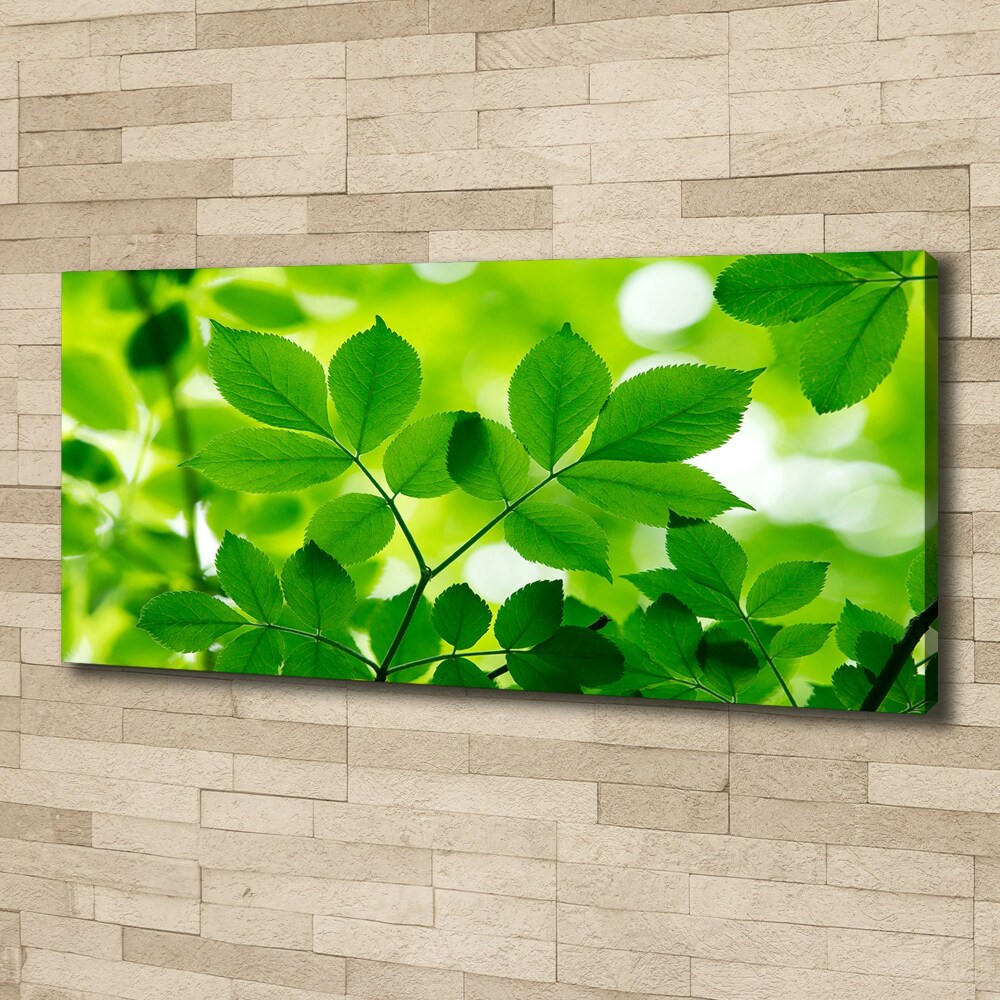 Canvas wall art Green leaves