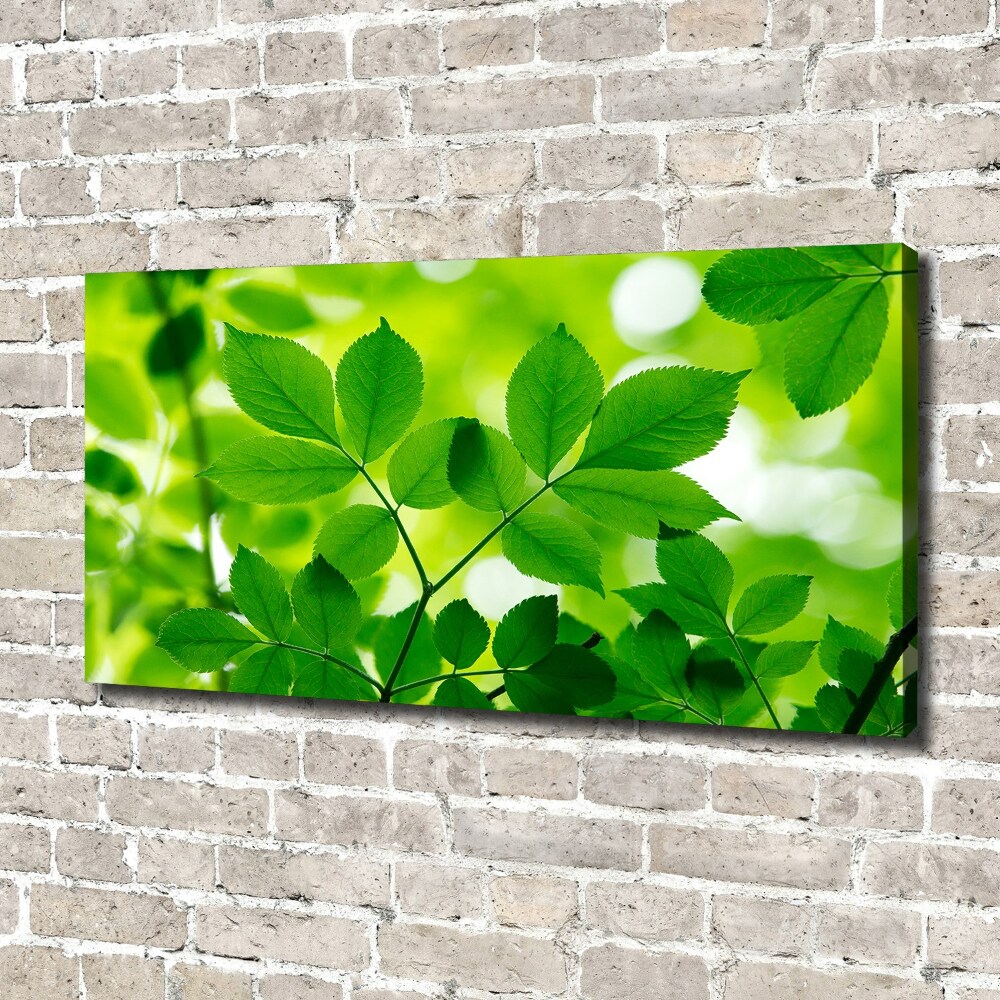 Canvas wall art Green leaves