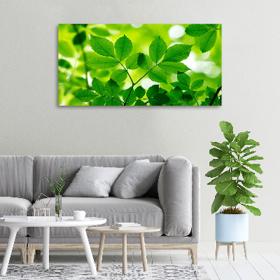 Canvas wall art Green leaves