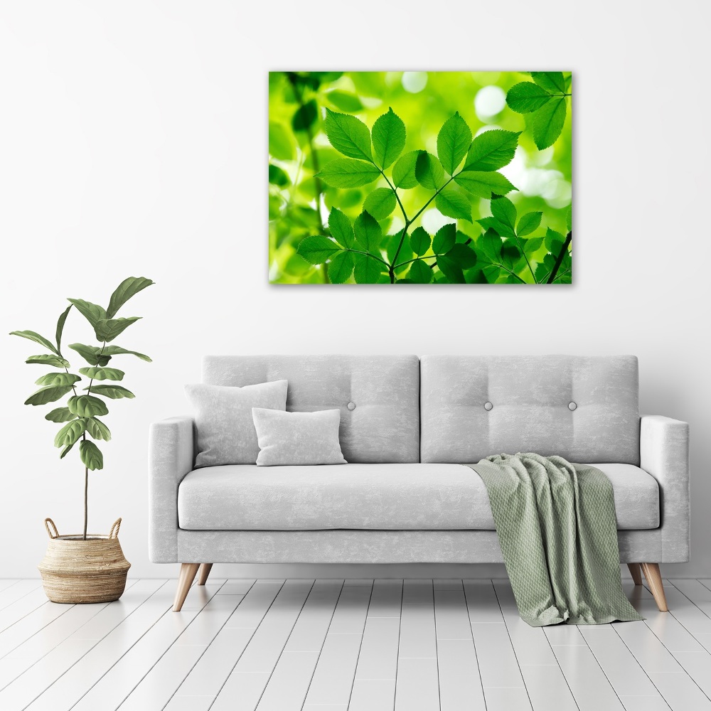 Canvas wall art Green leaves