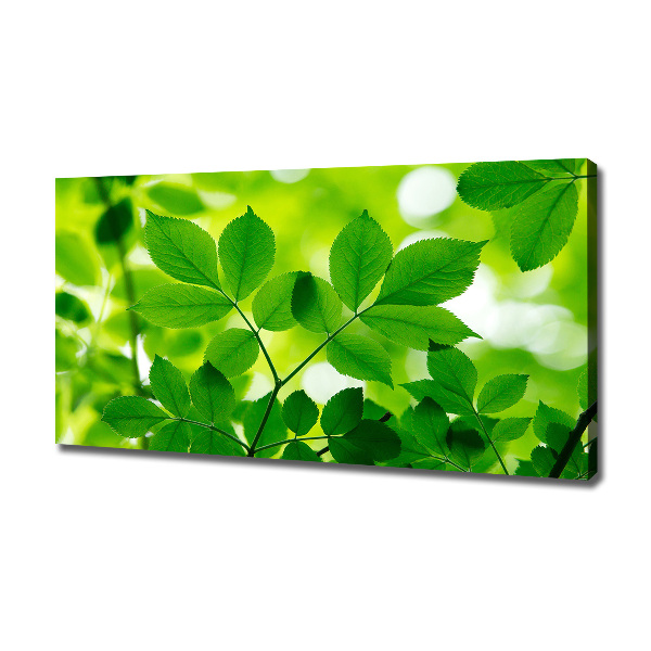 Canvas wall art Green leaves