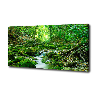 Canvas wall art Stream in the forest