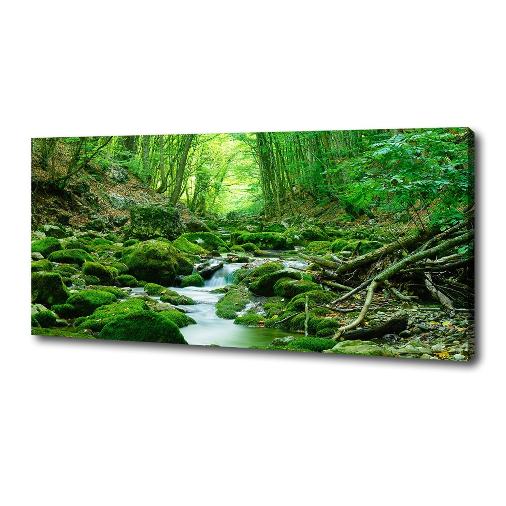 Canvas wall art Stream in the forest