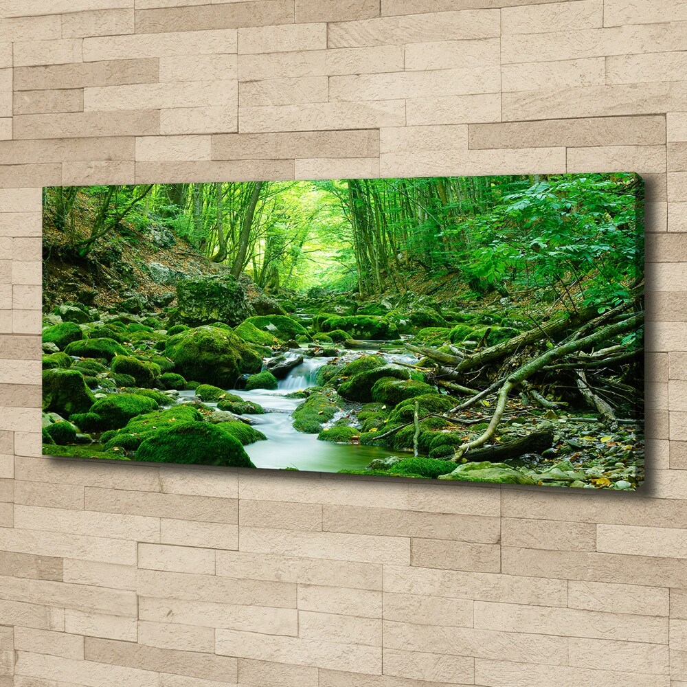 Canvas wall art Stream in the forest