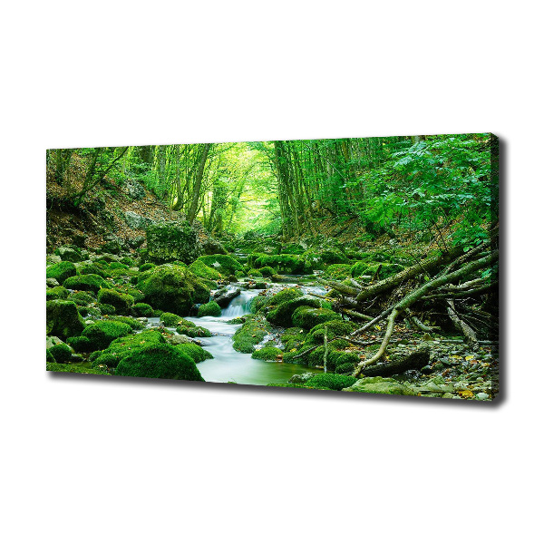 Canvas wall art Stream in the forest