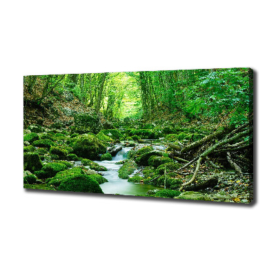 Canvas wall art Stream in the forest