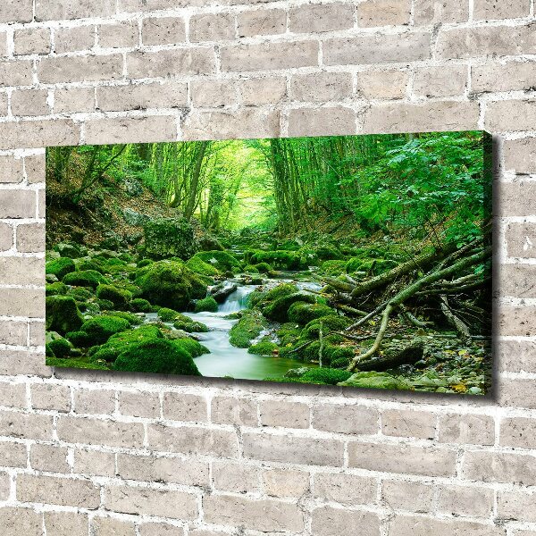 Canvas wall art Stream in the forest