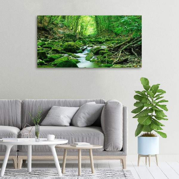 Canvas wall art Stream in the forest