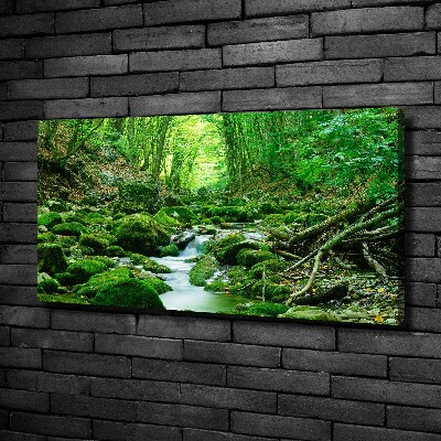 Canvas wall art Stream in the forest