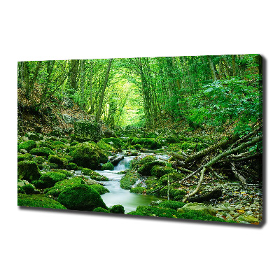 Canvas wall art Stream in the forest