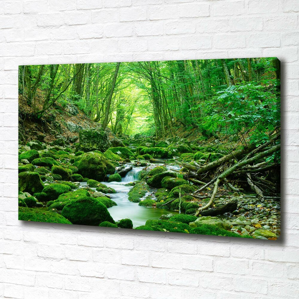 Canvas wall art Stream in the forest