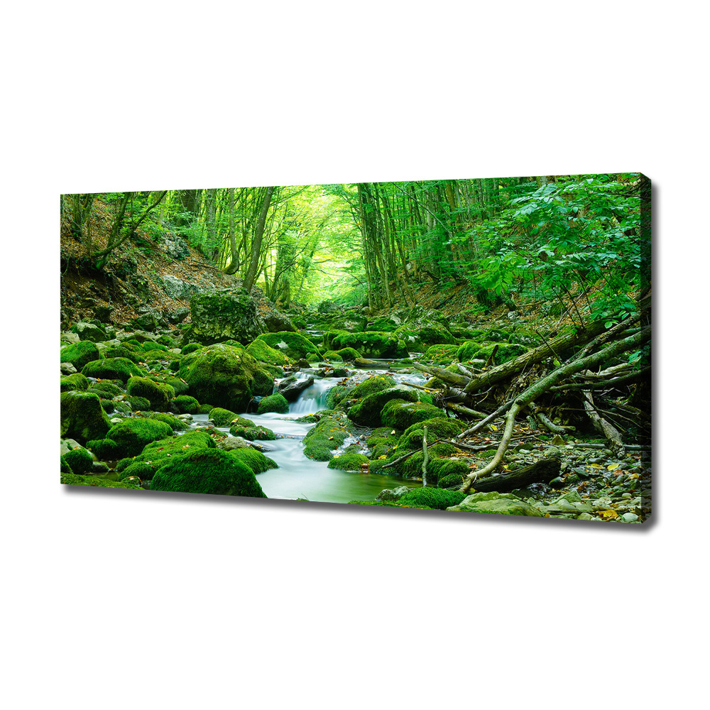 Canvas wall art Stream in the forest