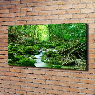 Canvas wall art Stream in the forest