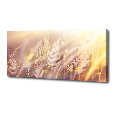 Canvas wall art Tall grass