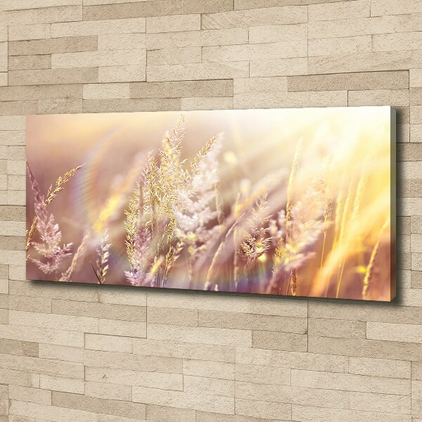 Canvas wall art Tall grass