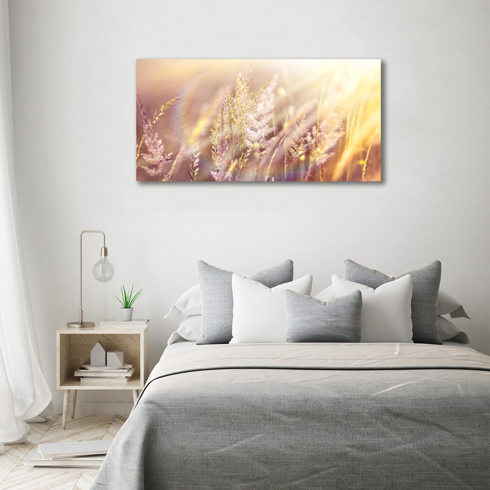 Canvas wall art Tall grass