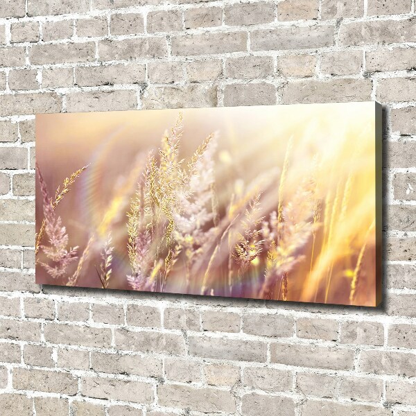 Canvas wall art Tall grass