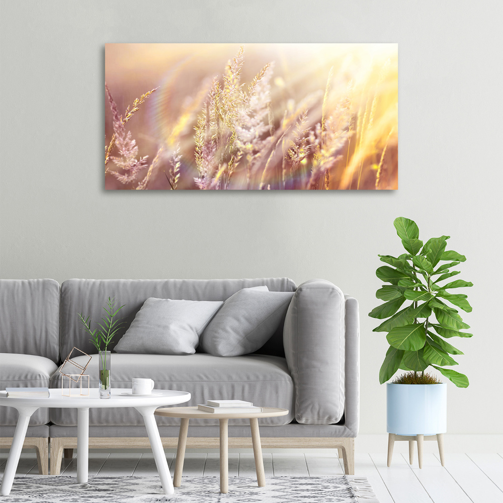 Canvas wall art Tall grass