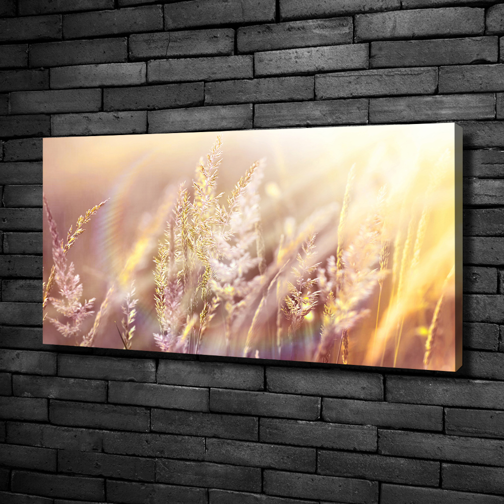 Canvas wall art Tall grass