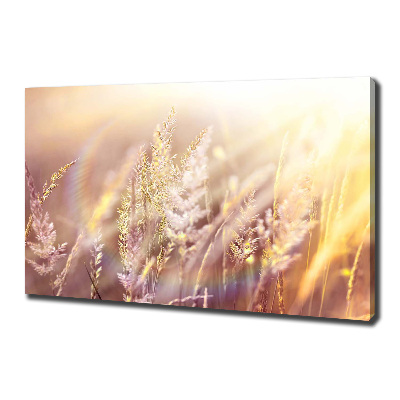 Canvas wall art Tall grass