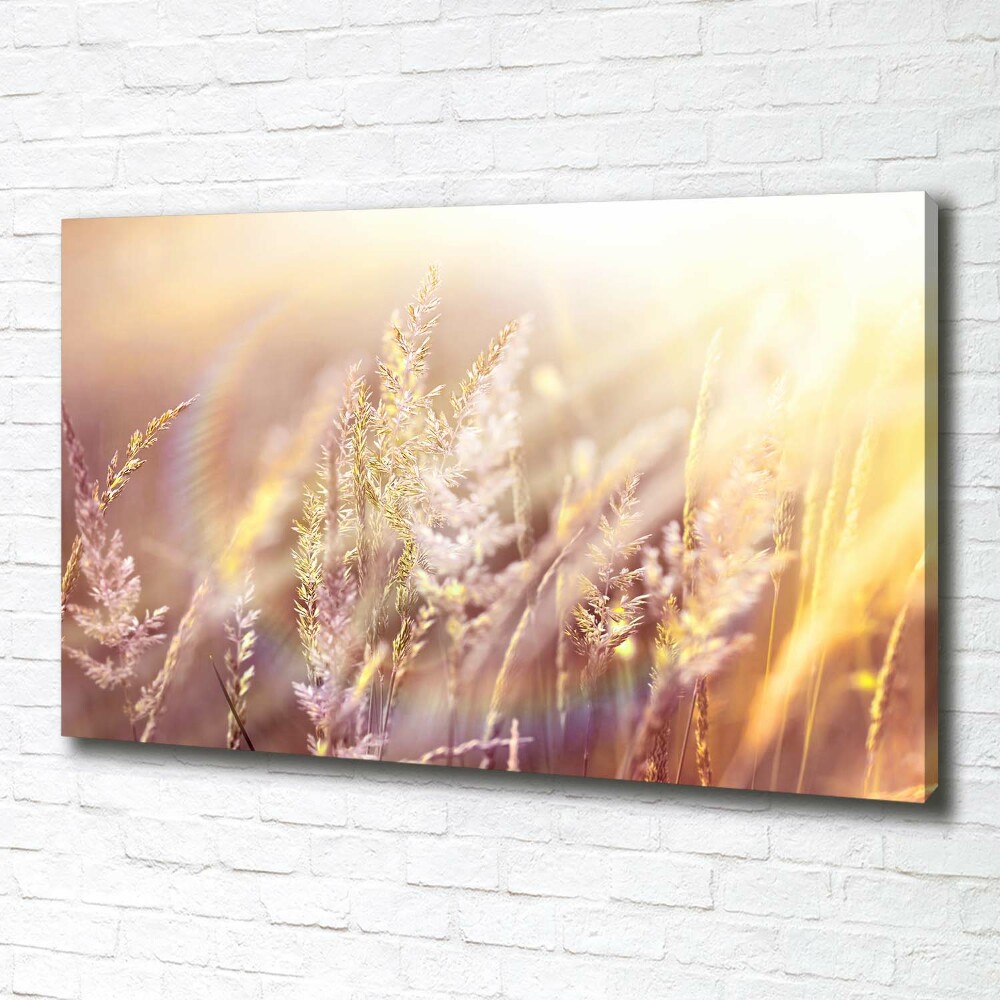 Canvas wall art Tall grass